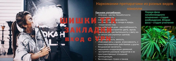 индика Верхнеуральск