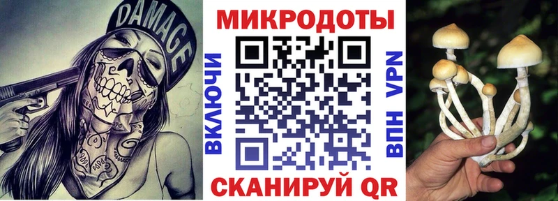 Купить закладки Барабинск Галлюциногенные грибы MAGIC MUSHROOMS